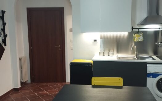 MARTI (PI) – ACCOGLIENTE MONOLOCALE IN AFFITTO